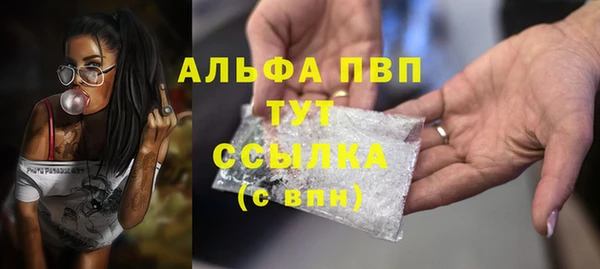 apvp Каменногорск