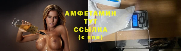 твердый Инта