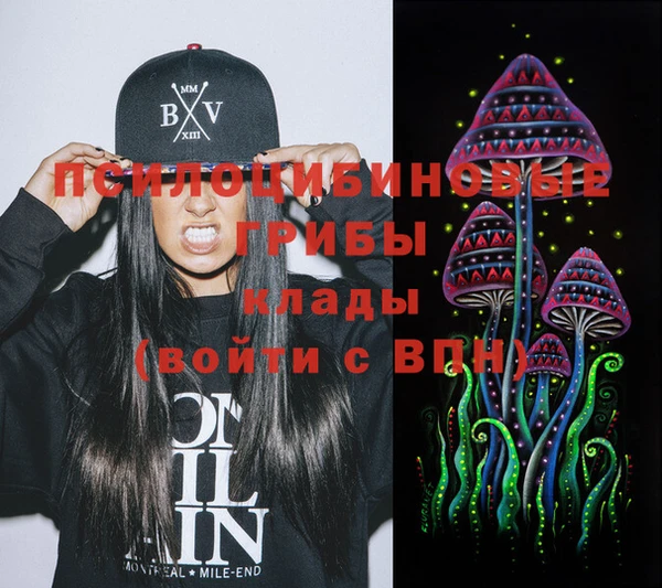 мескалин Каменка