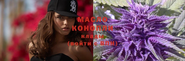 apvp Каменногорск