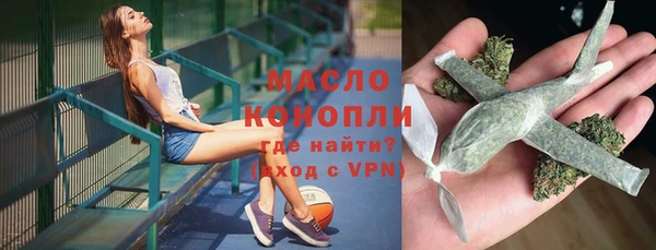 твердый Инта