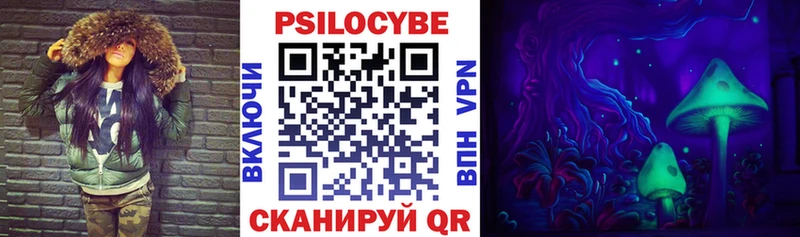 Псилоцибиновые грибы Psilocybe Торопец